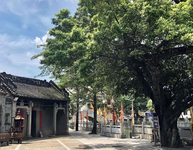 广州景点排行榜前十名，广州旅游景点排名前十（广州十大冷门景点）