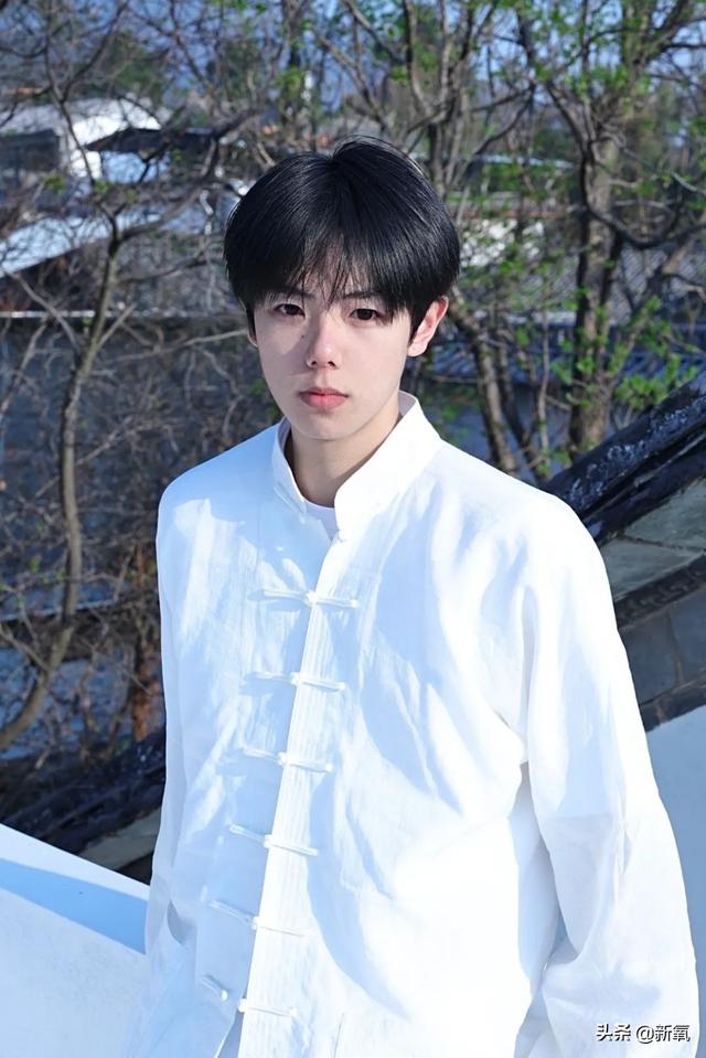 扑棱蛾子是什么梗，扑棱蛾子是什么梗贝斯（听说他换头是靠p的）