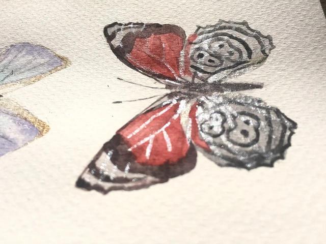 谐音梗是什么意思，有趣的网络谐音梗