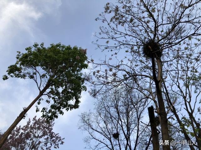 八月十五短信祝福语，八月十五日祝福语（老人说：今年是“晚秋分）