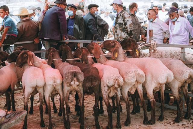 喀什哪个景点最值得去，中国最西部的城市新疆喀什
