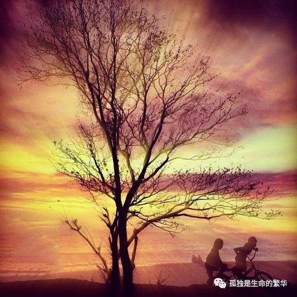 人活着到底为了什么，歌曲人活着到底为了什么（我们为什么活着）