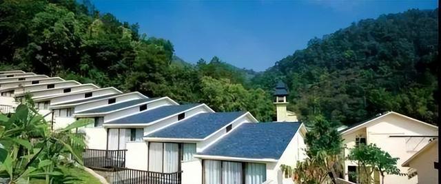 茶叶商业模式有哪些，如何使用消费金融模式卖茶叶