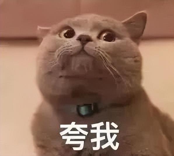 法律职业资格考试的报名条件（一步到位）