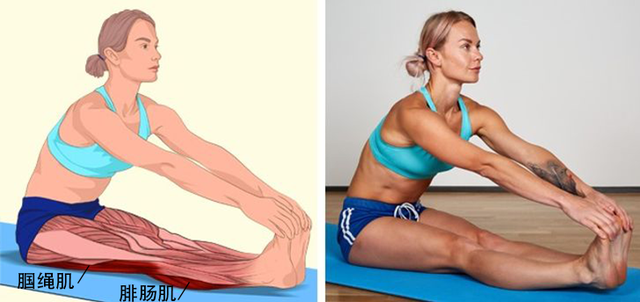 运动完不拉伸会怎样，健身完不拉伸有什么危害（助你学会拉伸，减肥事半功倍）