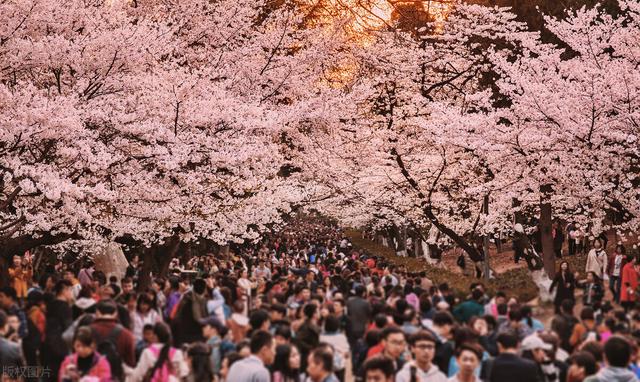 春天旅游国内推荐，国内春天最美的15个旅行目的地