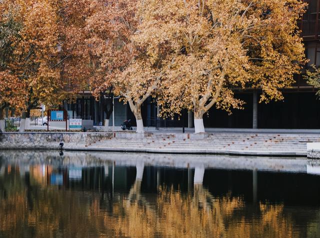 南开大学专业排名榜，2018-2019绘画专业大学排名【科教评价网+校友会版】（南开大学16个学科进入全球排名前1%）