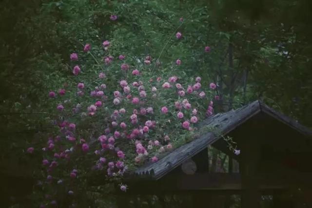 朋友圈显示三天可见是被屏蔽了吗，朋友圈显示三天可见是被屏蔽了吗知乎（“朋友圈”设置三天可见的人）