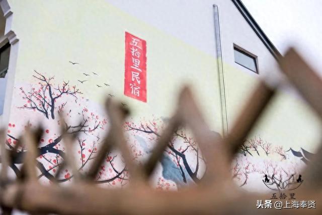 太火爆啦！听说市区的家长抢着带孩子来奉贤这里