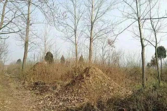 选墓地有什么讲究怎么样选合适，选择墓地的一般风水原则（老话说“坟地莫搬）