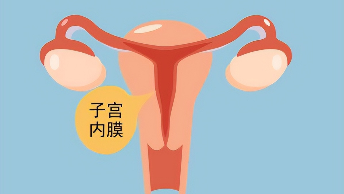 一,正常情况下,子宫和卵巢是什么样子?