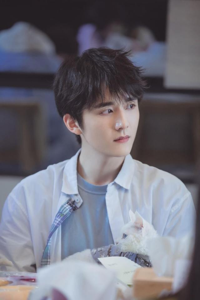 万万没想到女主角，廉梦（廉梦芸）（男主人选让我万万没想到）