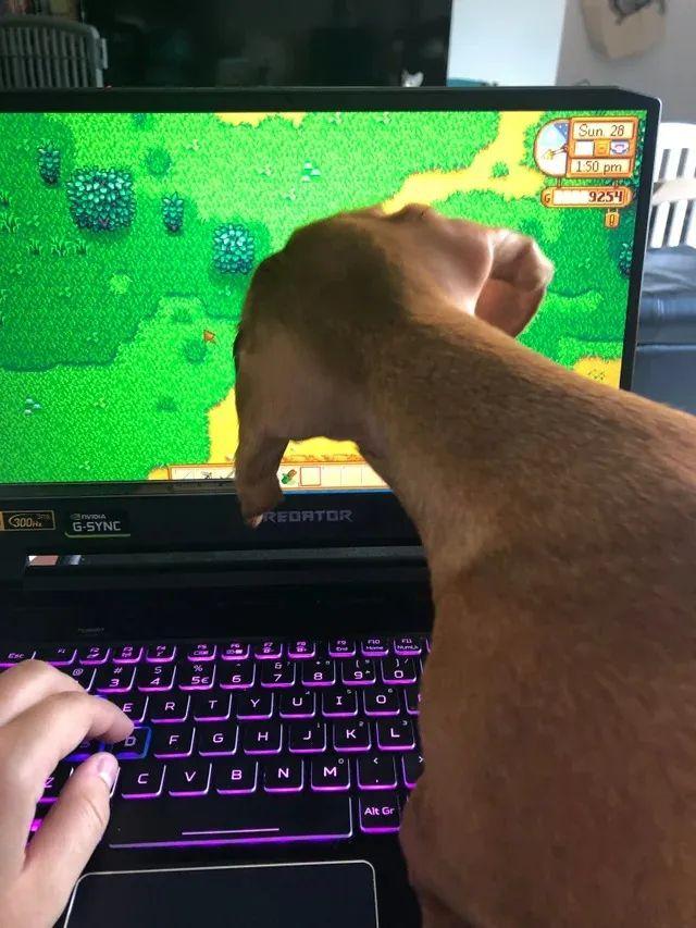 倒过来看很恶心的图，恐怖图片（这些迷惑性超强的错觉照片）