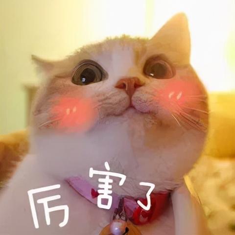 什么是辟谷辟谷的正确方法，徐峥通过“辟谷”成功减肥二十斤