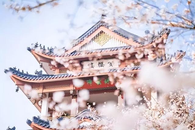 该放下了的说说心情，该放下了的说说心情短语（心情低落非常失望的时候用到的句子）