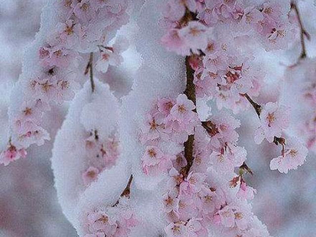 万事胜意搭配下一句是，万事胜意搭配下一句是什么（2023：愿你平安喜乐）