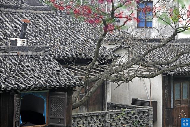 乌镇好玩吗，乌镇好玩吗值得去一下吗（素有“中国最后的枕水人家”之誉）