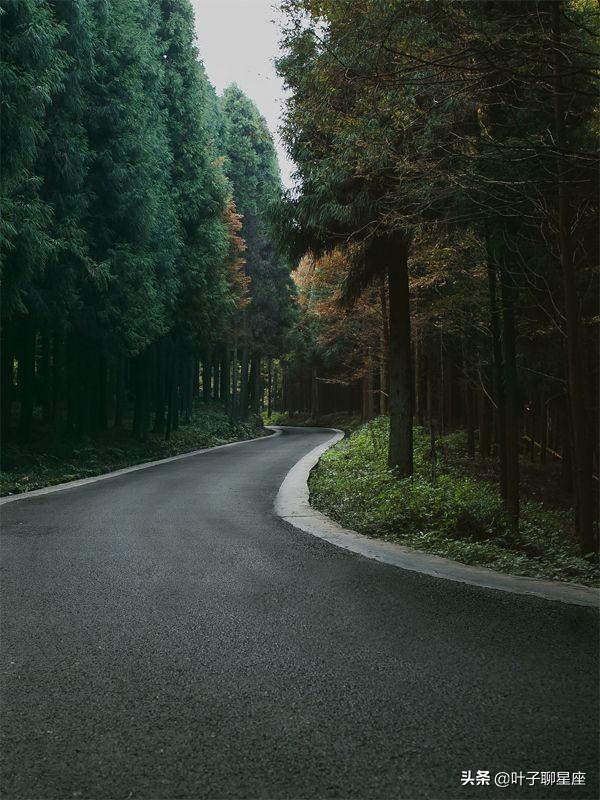 嫉妒心最强的星座女，嫉妒心理属于什么心理障碍（是嫉妒心的天花板）