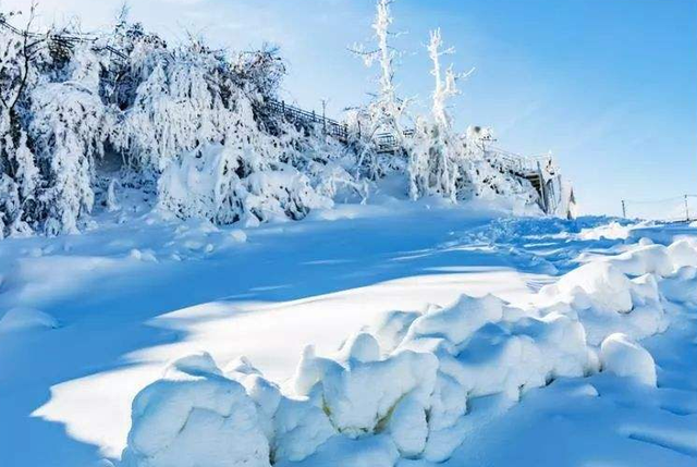 小学三年级雪景图片