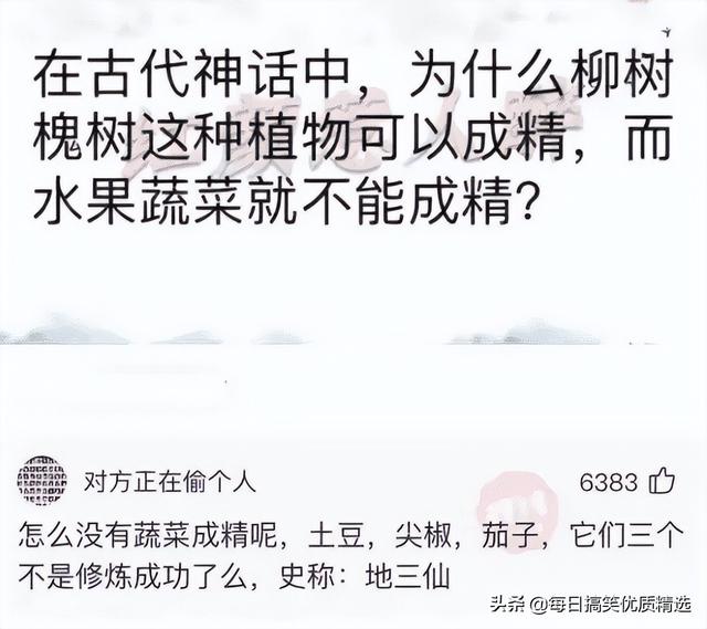 开车是什么意思网络用语，网络语言开车是什么意思（搞笑合集：这也太尴尬了吧）