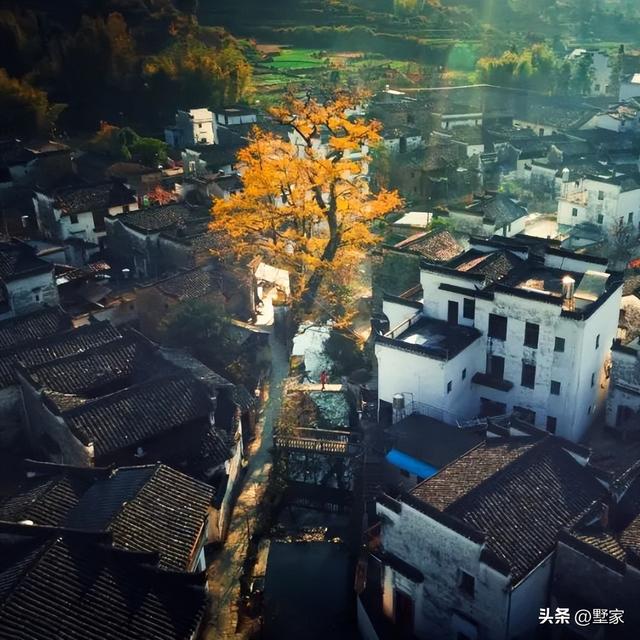 游玩攻略江西婺源景区，徽州秋天里的人间烟火
