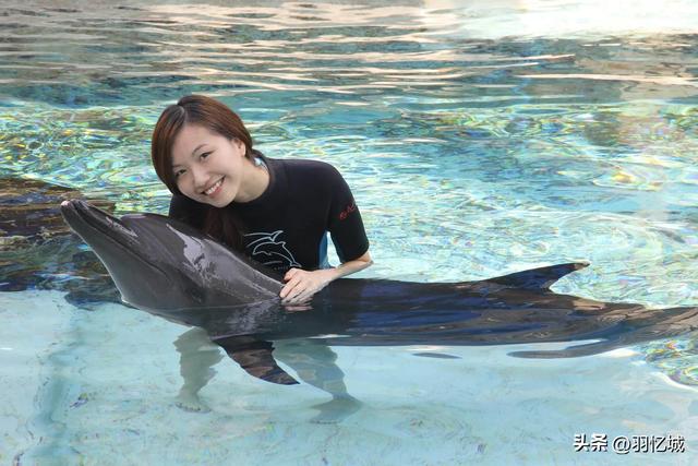 新加坡有什么特产，新加坡有什么美食特产除了肉干（宝藏级的新加坡旅游攻略）