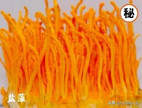 关二爷是什么神，关二爷为什么是神明（关羽为何被尊奉为“财神爷”）