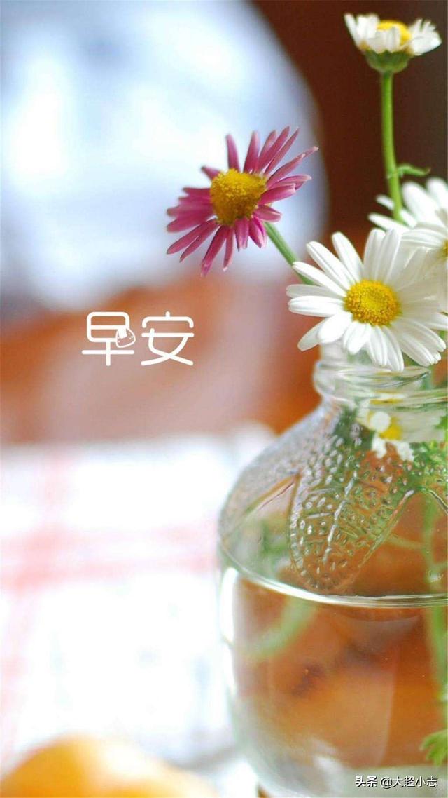 给客户发周末问候短信，周五给客户发短信问候（2022.6.25早安正能量祝福语）