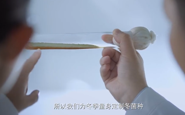 李锦记蒸鱼豉油，李锦记蒸鱼豉油什么时候放入（你每天都吃的酱油）