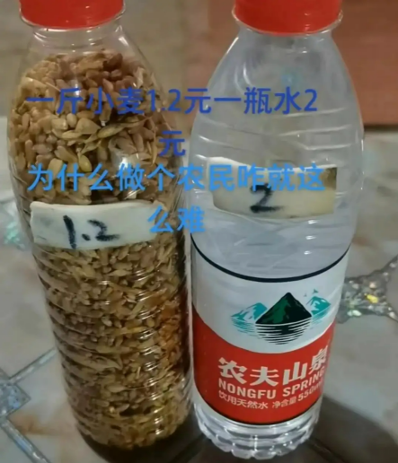 农夫山泉一瓶多少毫升，农夫山泉矿泉水多少毫升（1块钱的水不见了）