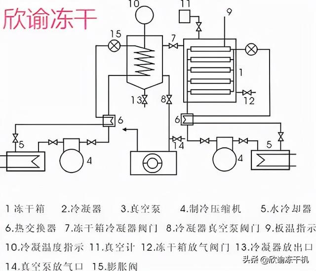 真空干燥箱原理，真空干燥箱的原理（一分钟带您快速了解真空冷冻干燥机）