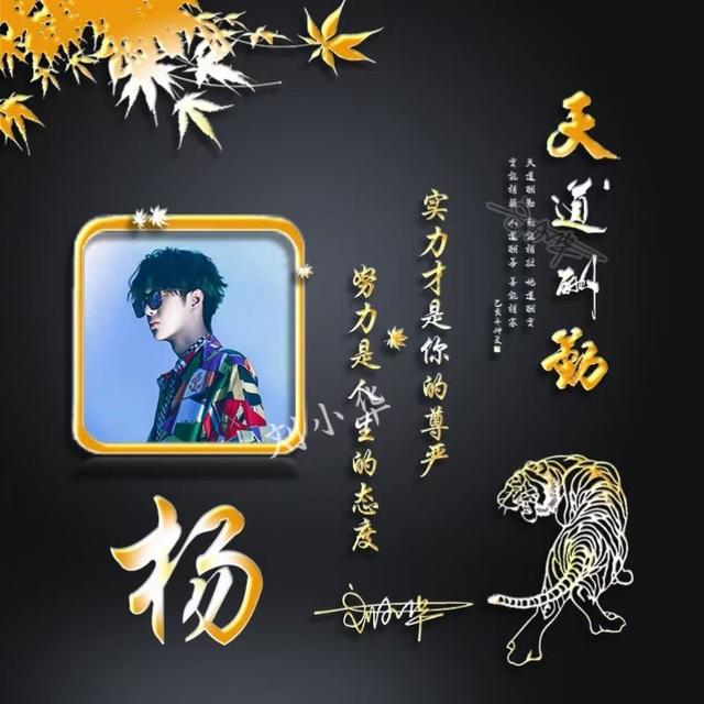 最新男生姓氏头像微信，最新男生姓氏头像（是适合男人用的）