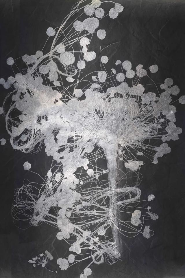 贵州属于云南省吗，云南属于哪个省（中国避暑第一大省）