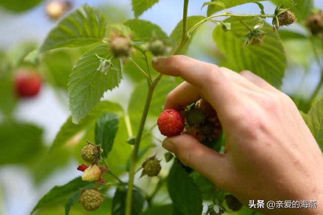 8090后童年的味道记忆中的零食，80后90后们你还记得几样