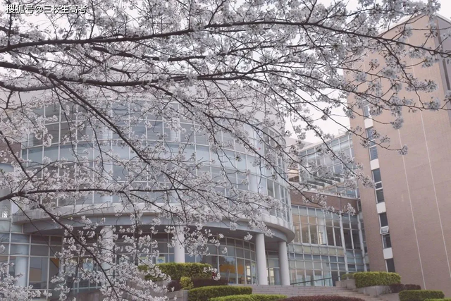 上海工程技术大学是一本还是二本，上海工程技术大学几本大学（上不了“211工程”大学）