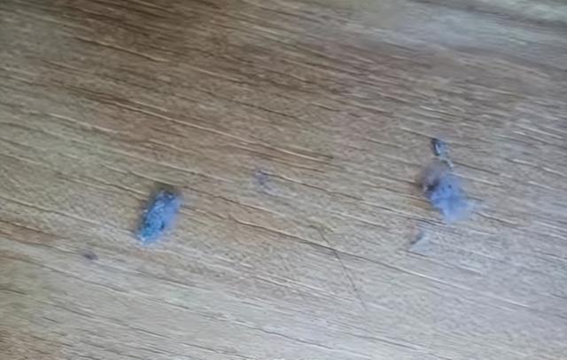 棉絮脏了怎么清洗，棉被尿骚味去除小窍门（为啥直到现在仍没有解决方法）