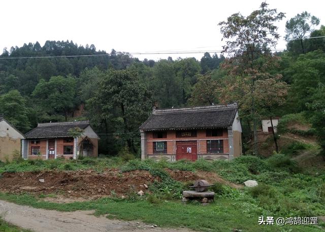 欻这个字什么意思，欻这个字什么意思昂（含义和用法举例）