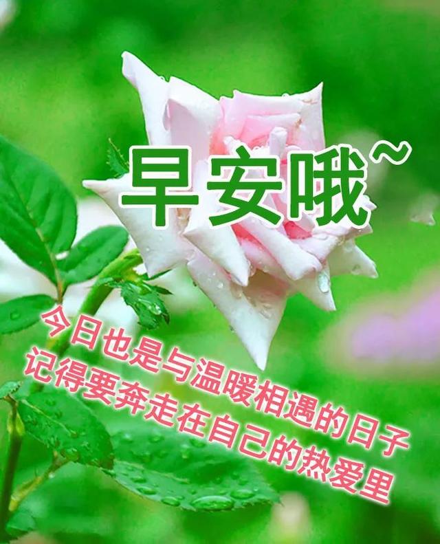 2022女神节走心文案，2021春节暖心文案（小雪正能量哲学语录说说）