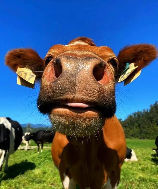 “我有点不开心，微信头像，“我有点不开心，不只一次，不只今天，不只是你”丧系女生头像（所有的不开心就止步于此吧）