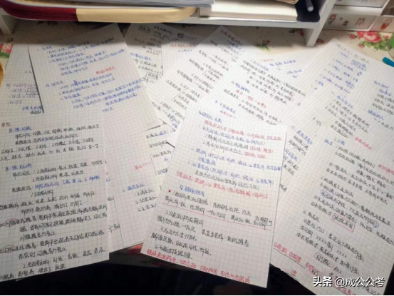 如愿以偿和得偿所愿的区别，得偿所愿和如愿以偿的区别（他说考上公务员就结婚）