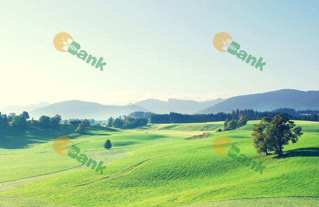 如何给自己的照片配文字，如何给自己的照片配文字说说（怎么给图片加水印）