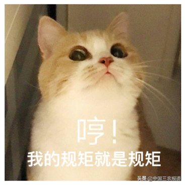 孕妇能吃草莓吗，产妇能吃草莓吗喂奶期间（鸡冠子、大扇子……这些形状的草莓敢吃吗）