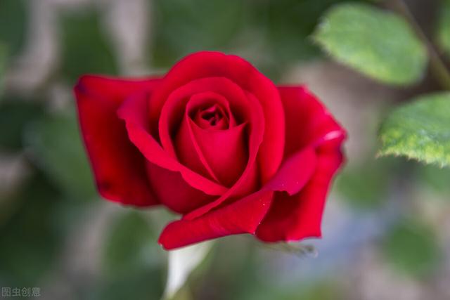 三生有幸遇见你下一句，三生有幸遇见你下一句是什么（写给最爱的人：三生有幸遇见你）