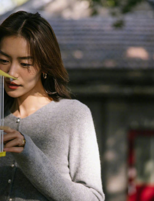 大表姐是谁，詹妮弗劳伦斯（大表姐刘雯秋日胡同随拍秀身材）