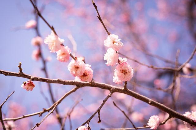 关于初心的句子，坚守初心的唯美句子（有一种相逢一眼万年）