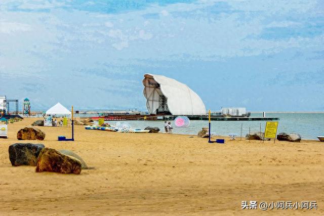 上海奉贤碧海金沙：休闲娱乐与生态保护的完美结合