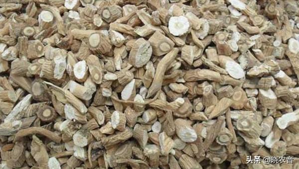 黄芩多少钱一斤，黄芩种子多少钱一斤（一年亩收入5万的药材有哪些）