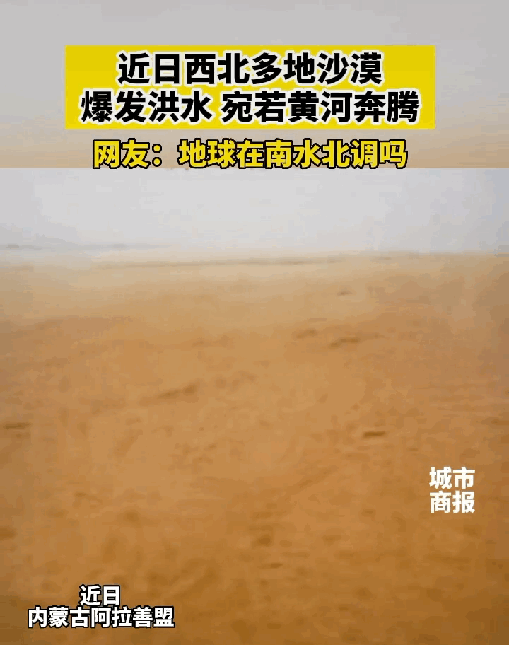 又霸气又高冷的图片 在这座欲望的城市，你是我最后的信仰，又霸气又高冷的图片带字（灾难成现实才知道后悔）