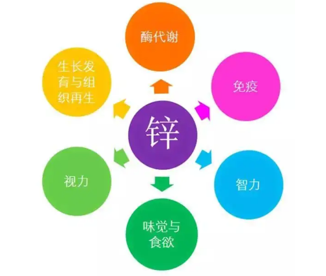 10kg等于多少斤,10kg等于多少斤怎么算(儿童微量元素缺乏之锌缺乏)