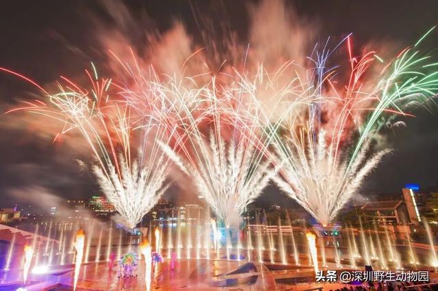 深圳世界之窗门票多少钱一张，深圳世界之窗晚上门票多少（动物园\u0026世界之窗/欢乐海岸水秀）